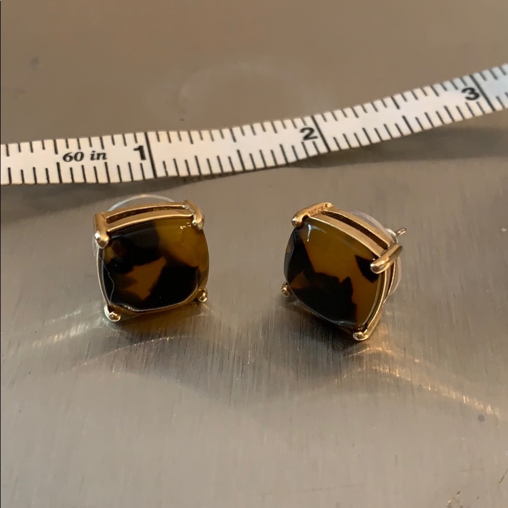 Michael Kors Tortoise Earrings